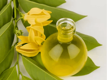 Liệu pháp hương liệu để cải thiện tiềm năng